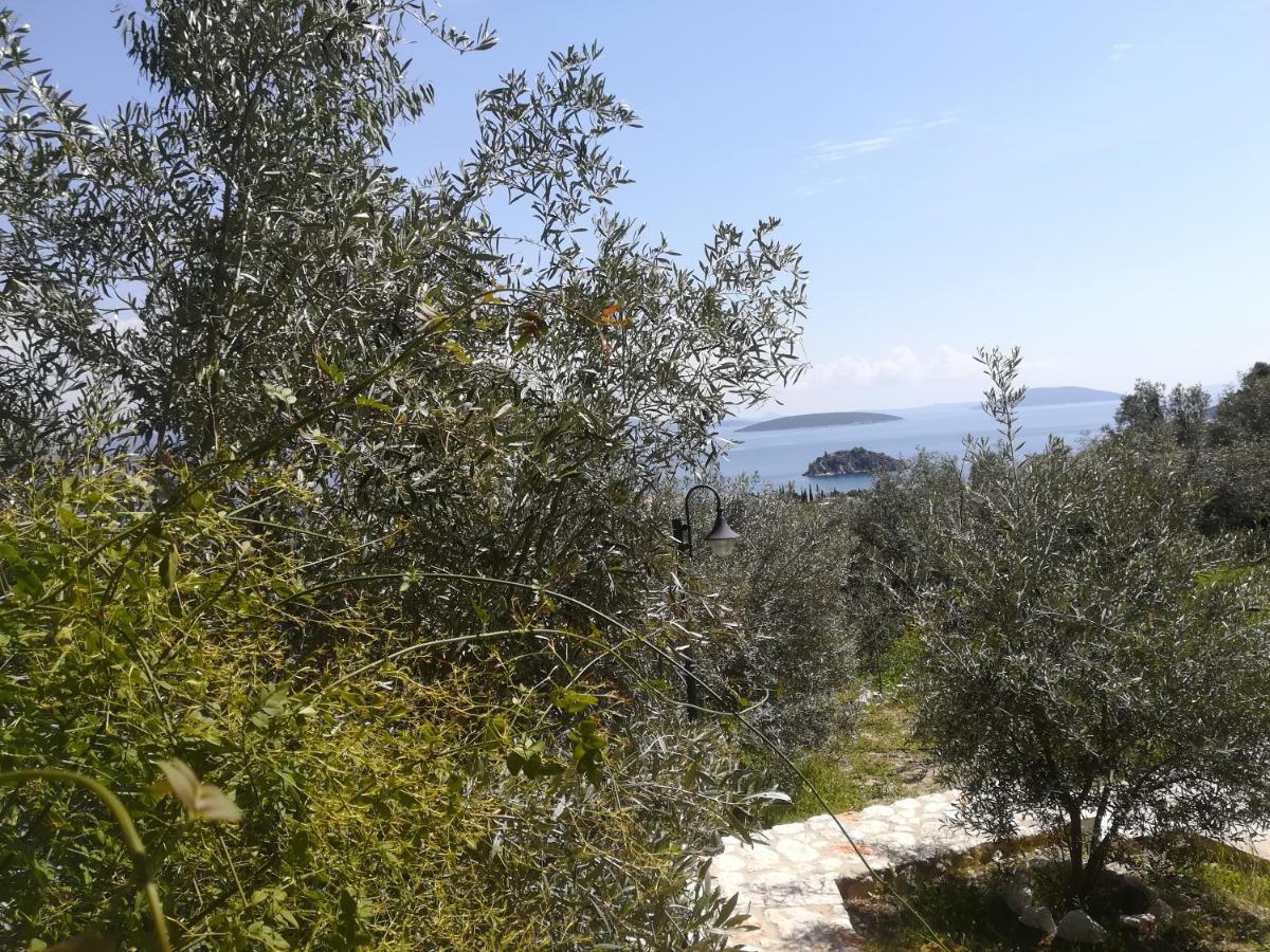 Stone House In Olive Grove Villa Tolo Luaran gambar