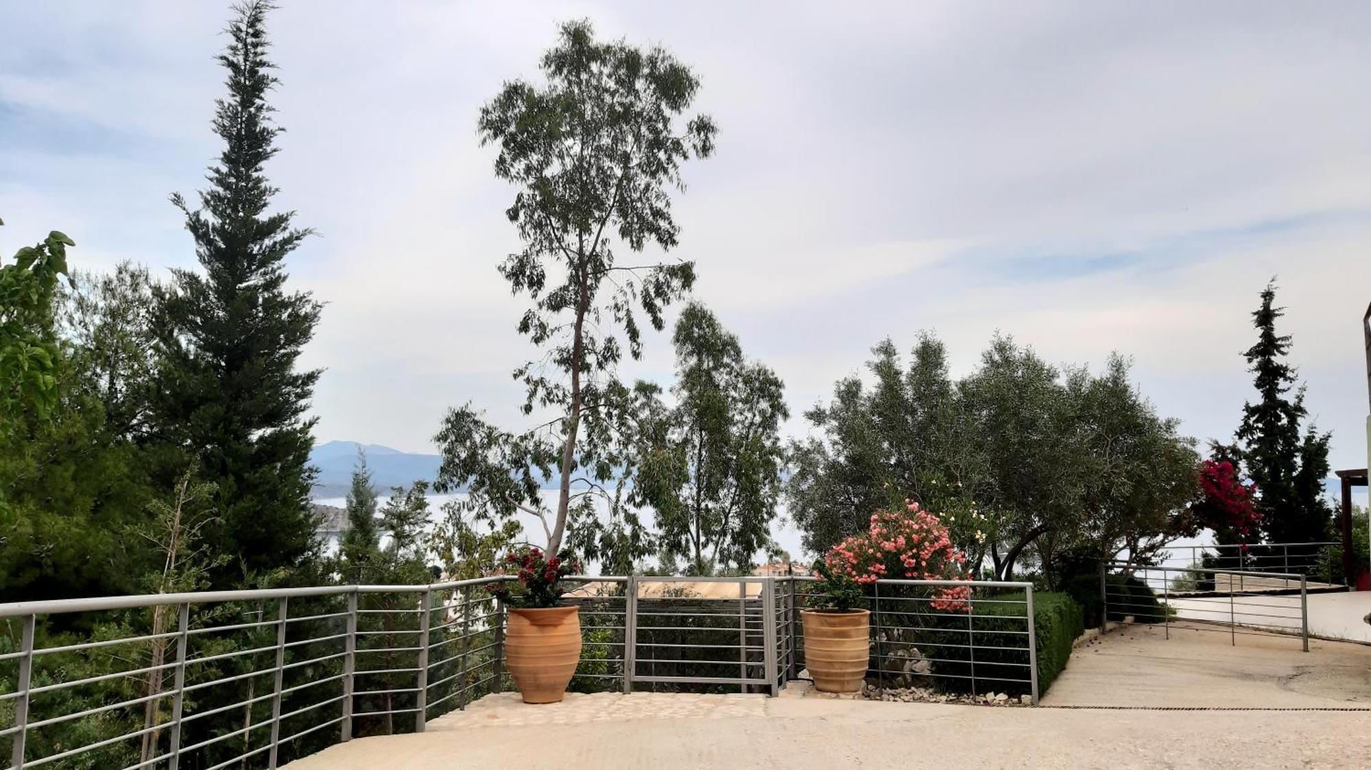Stone House In Olive Grove Villa Tolo Luaran gambar