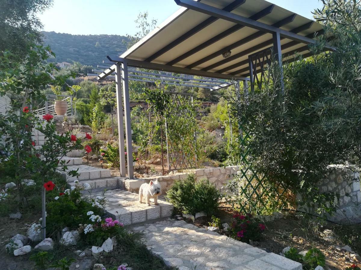 Stone House In Olive Grove Villa Tolo Luaran gambar